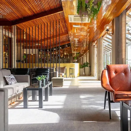 D. Afonso Hotel&spa Hotel