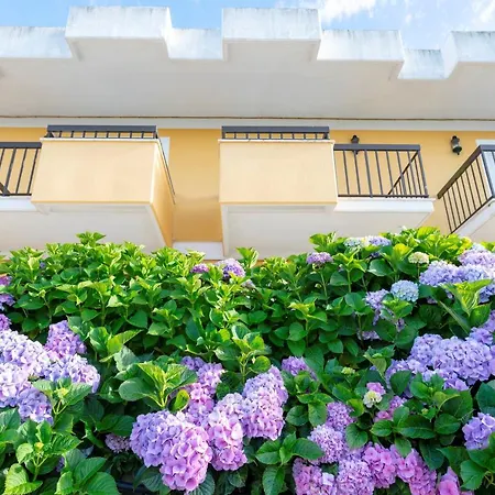 D. Afonso Hotel&spa Hotel Monte Real