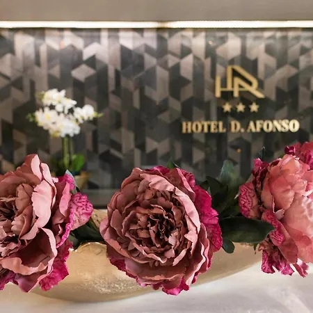 Hotel D. Afonso Hotel&spa