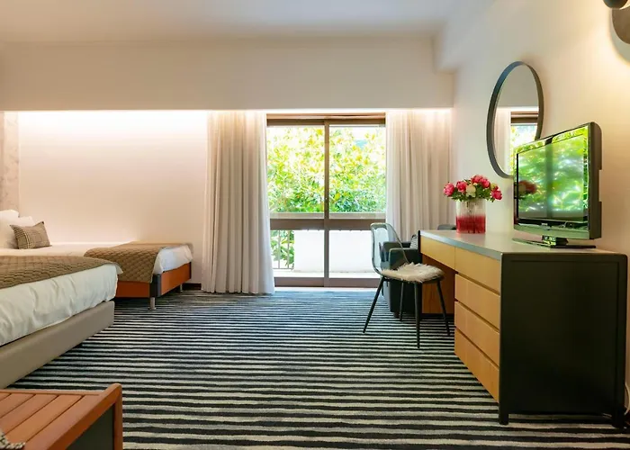 D. Afonso & Monte Real