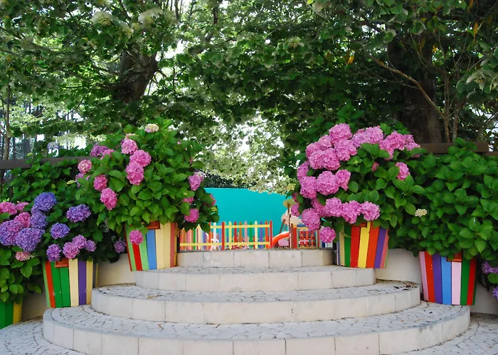 D. Afonso & Hotel 3*